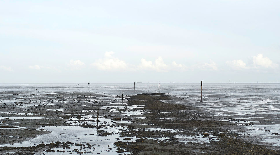 broomway.jpg
