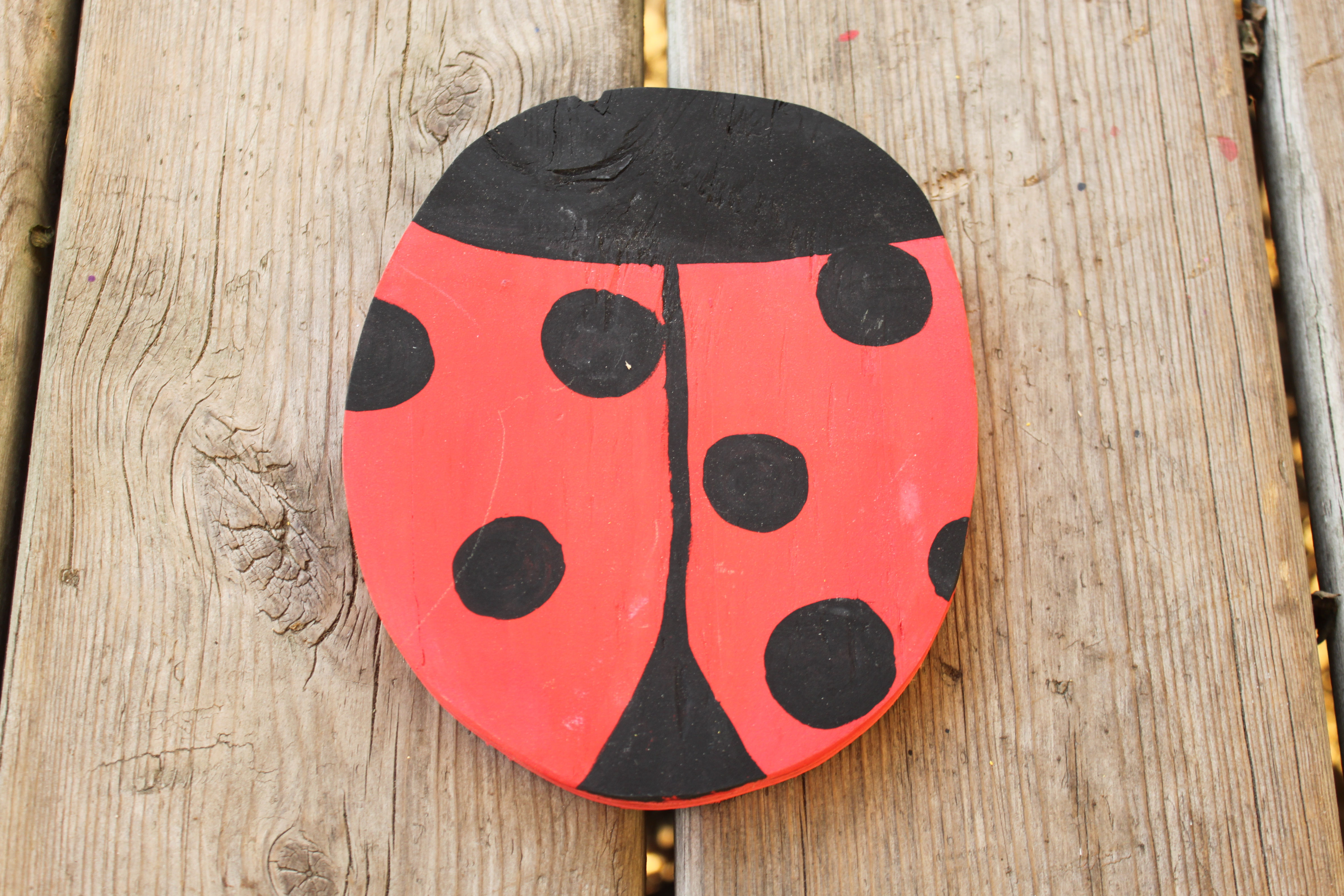 Ladybug