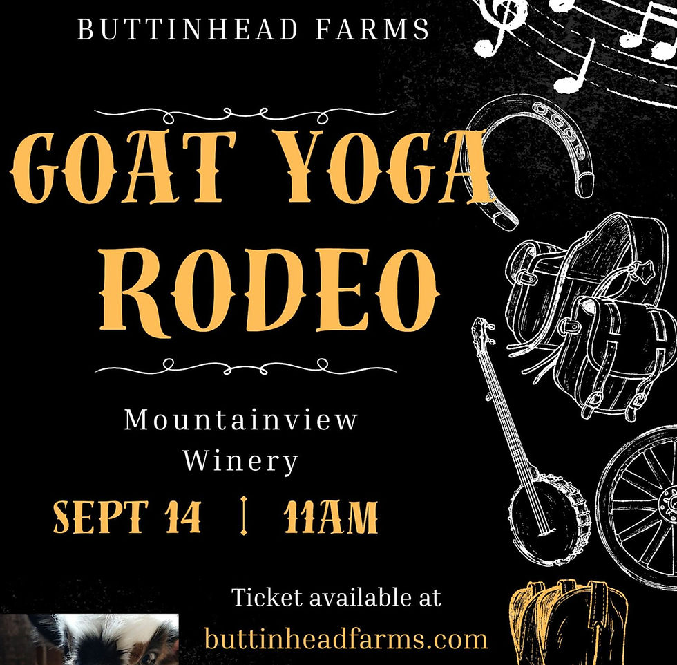 Goat Yoga