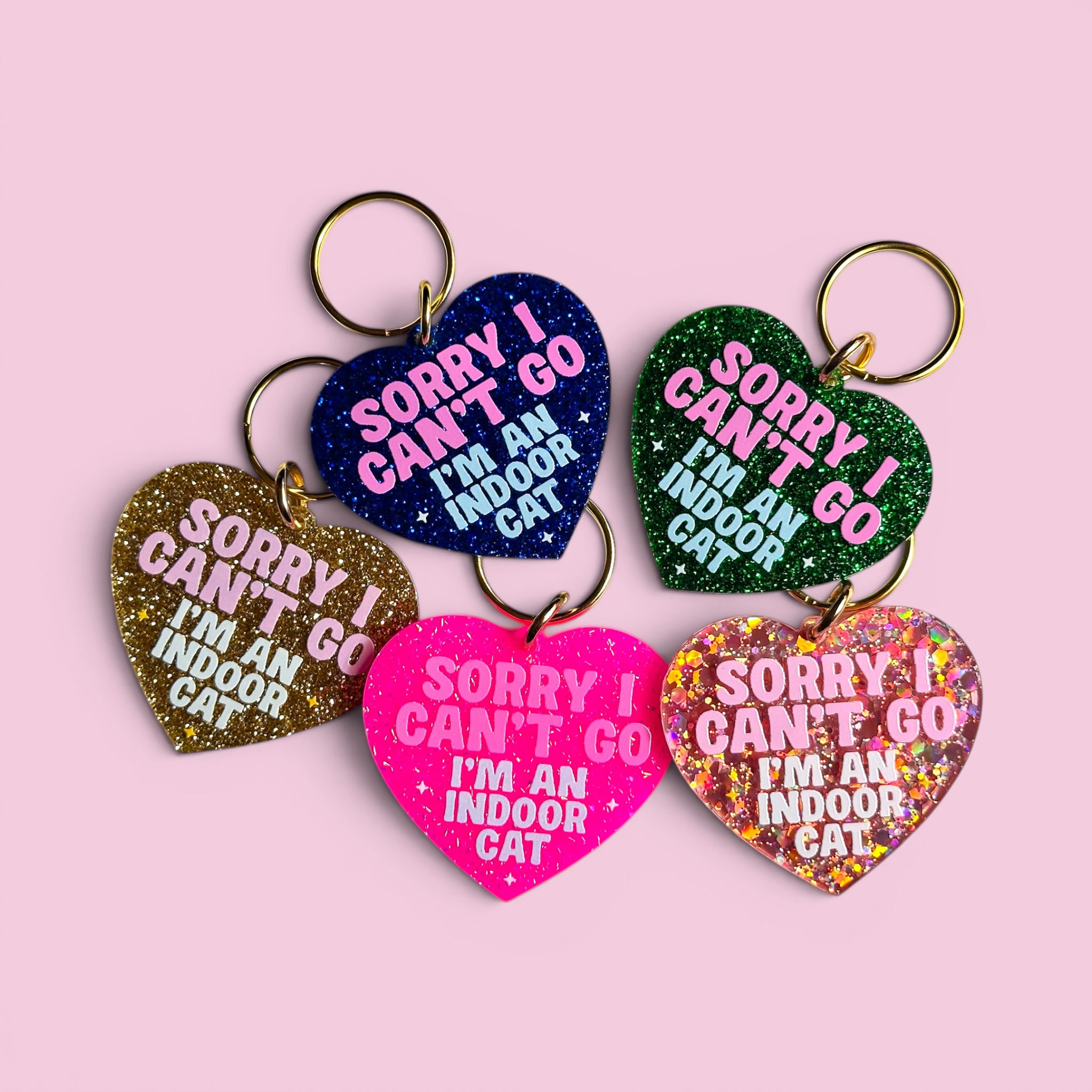 Sorry I Can't Go I'm an Indoor Cat Keychain
