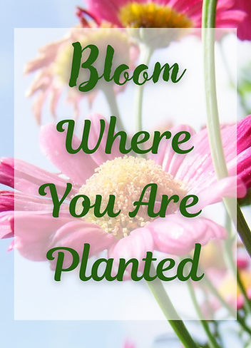 Bloom Where You Are Planted.png