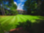 lawns-6.jpg