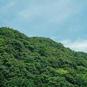 ホームページリニューアルのご案内