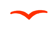 BIRD-1.gif