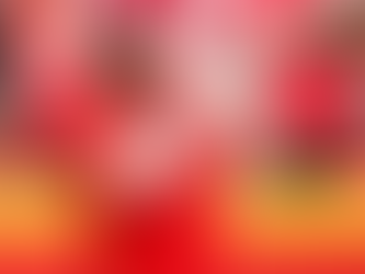 De leopardo a golfinho - Tyreek Hill no Miami Dolphins