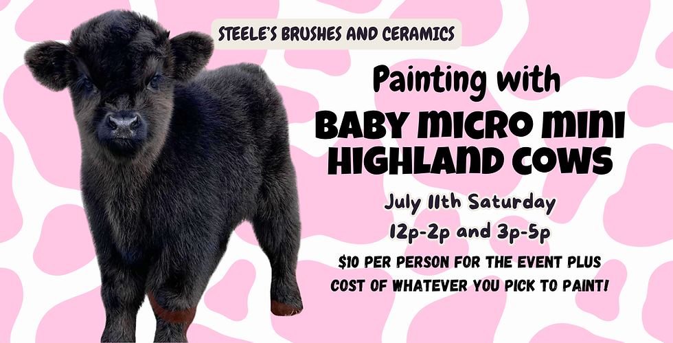 Painting with Baby Mini Highland Cows