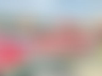 التظاهرات والاضرابات عمّت ايطاليا لوقف حرب الإبادة في غزة وتلويح بـ "زحف شعبي " امام المبنى الحكومي 08:29