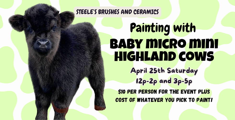 Painting with Baby Mini Highland Cows