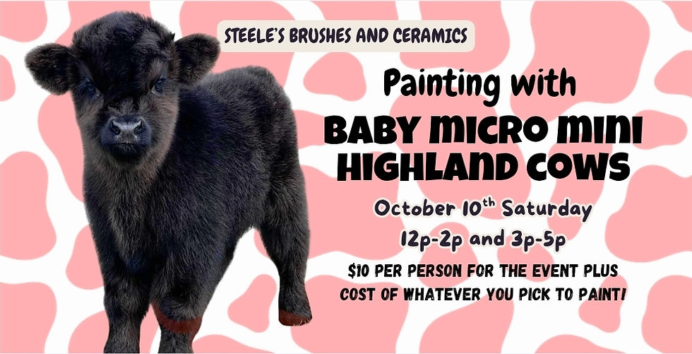 Painting with Baby Mini Highland Cows