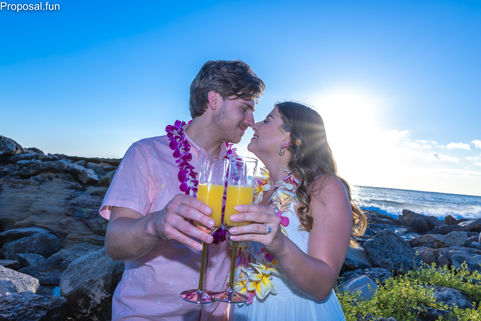 Oahu-proposal-proposal.fun-BG-W-79.jpg