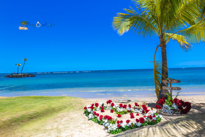 Hawaii-proposal-SM-1-11.jpg