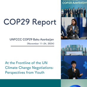 English Edition of the COP29 Report — Now Available