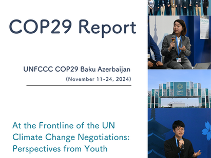 English Edition of the COP29 Report — Now Available