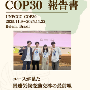 COP30報告書