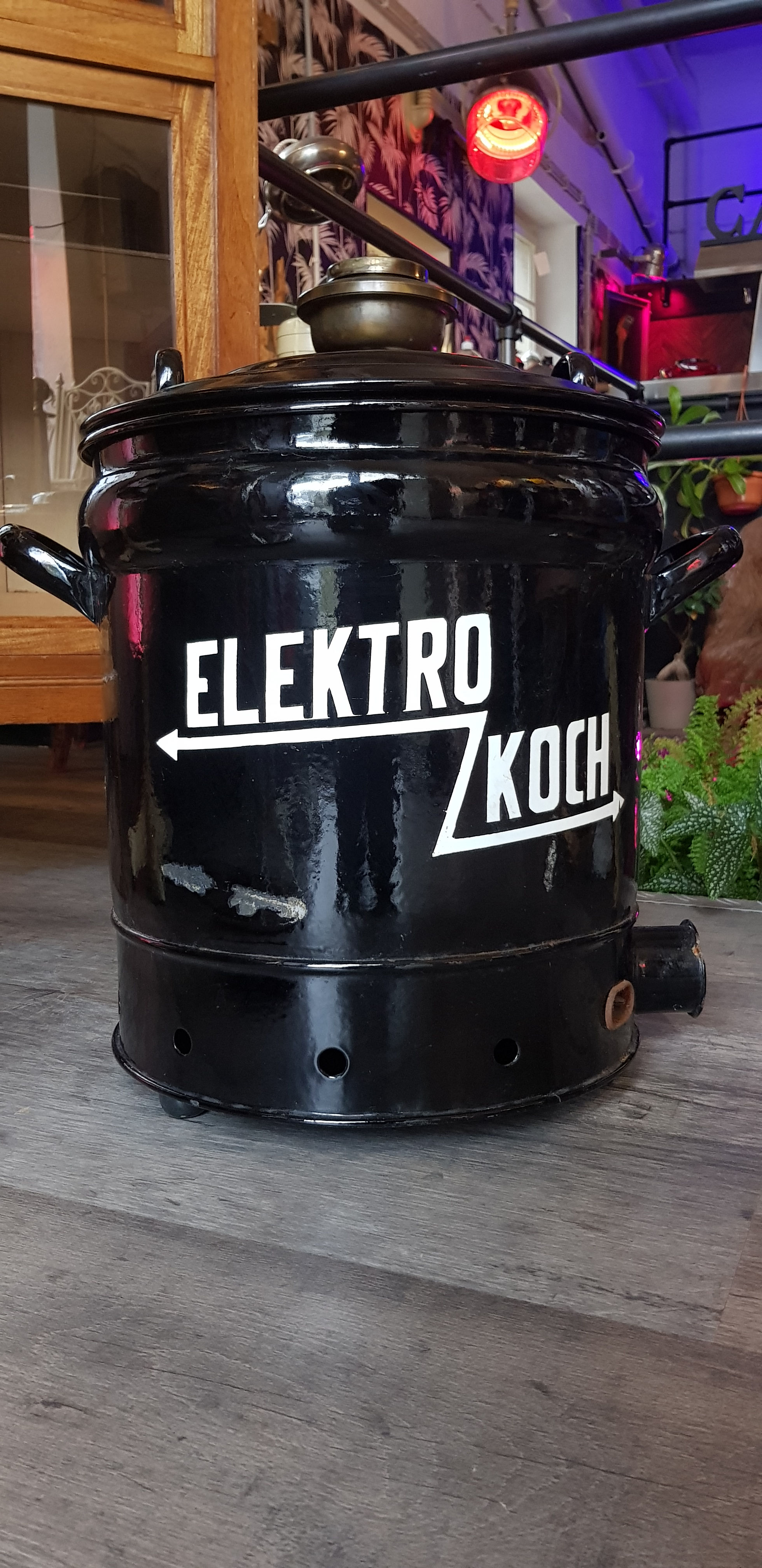 alter elekt. Kochtopf als Blumenkübel / Deko