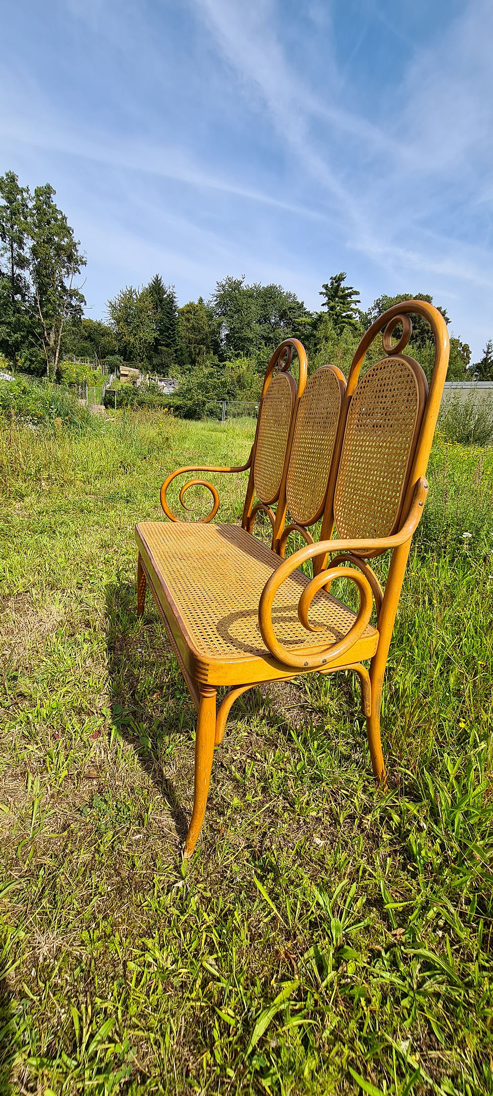 Miniaturbild: Original Thonet Bank 207  Bugholz/ Buche / Rattan