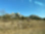 IMG_5697.jpeg