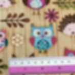 Thumbnail: Owls n Foxes