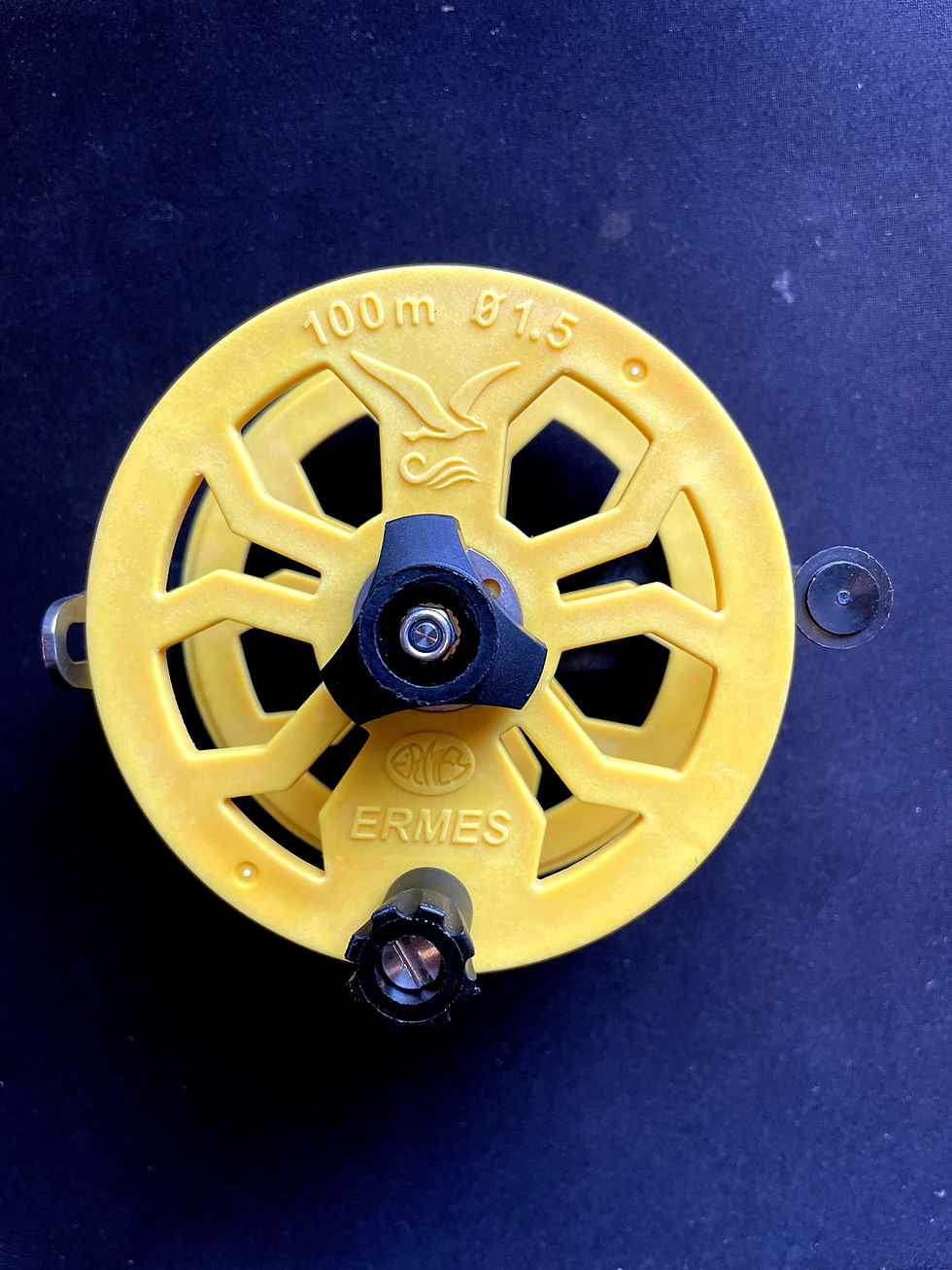 Thumbnail: Ermes 100m Reel