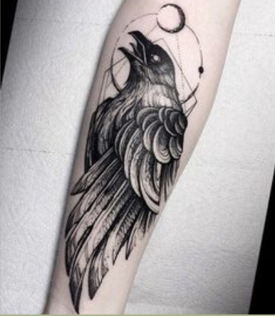 tatuagem de um corvo em um antebraço