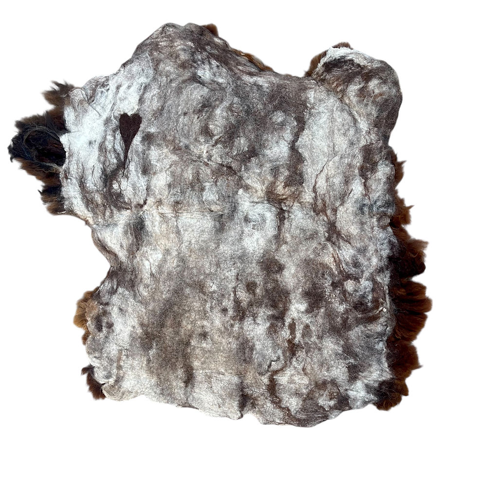 Thumbnail: Scout's Magical Huckleberry