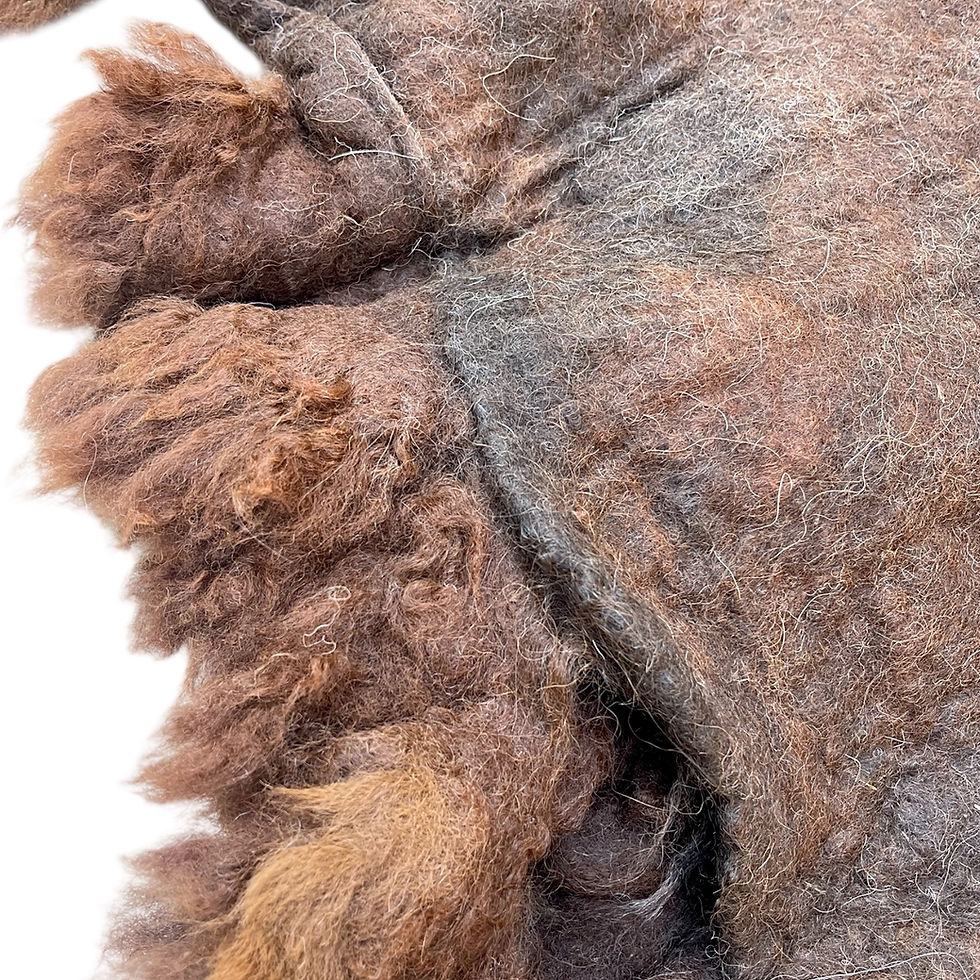 Thumbnail: Divine Embraced By The Light “Brace”