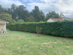 Illustration_sans_titre 1