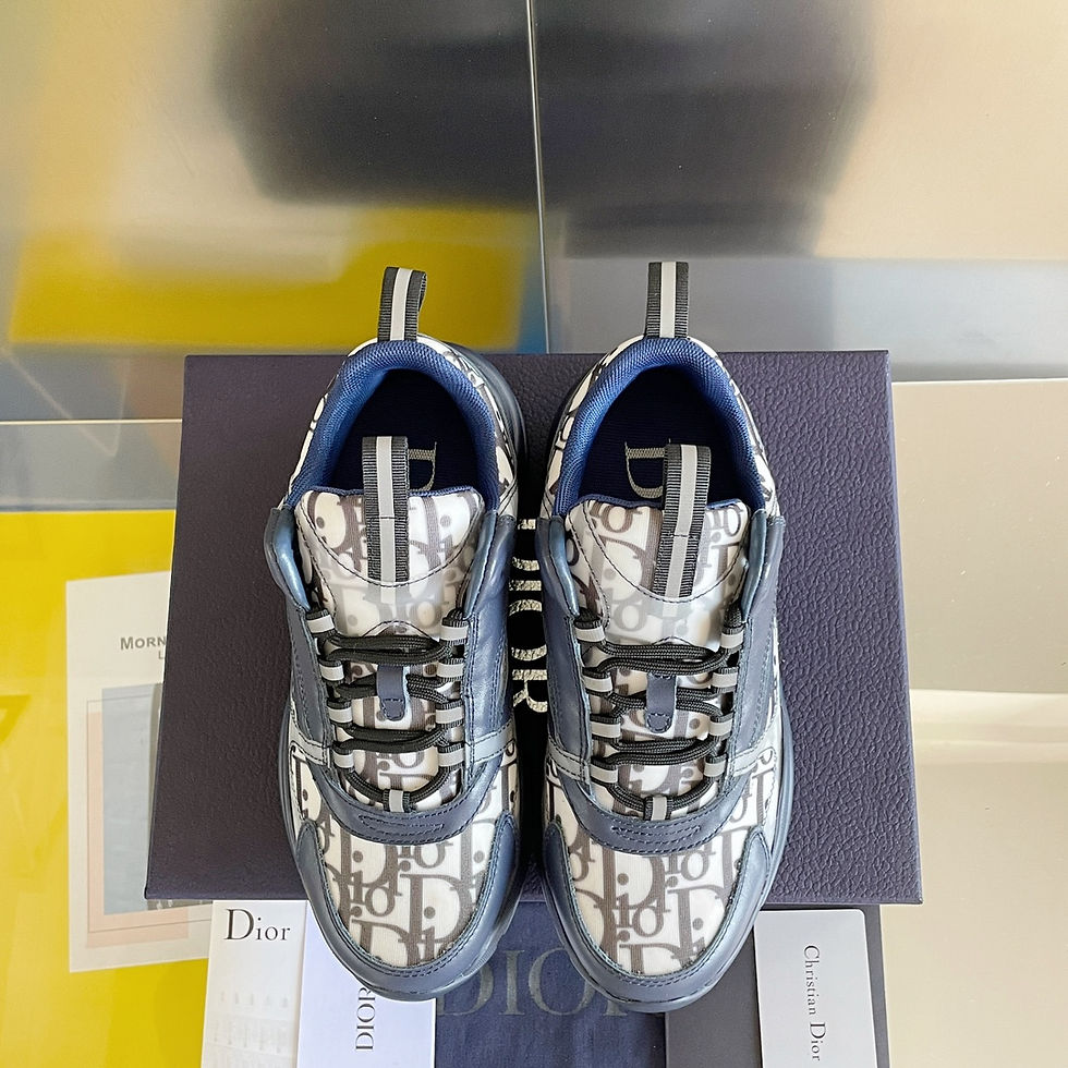 Miniatura: Dior B22