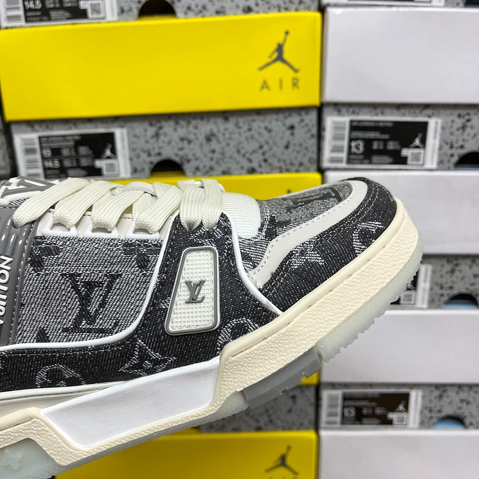 Miniatura: LV Trainer 13