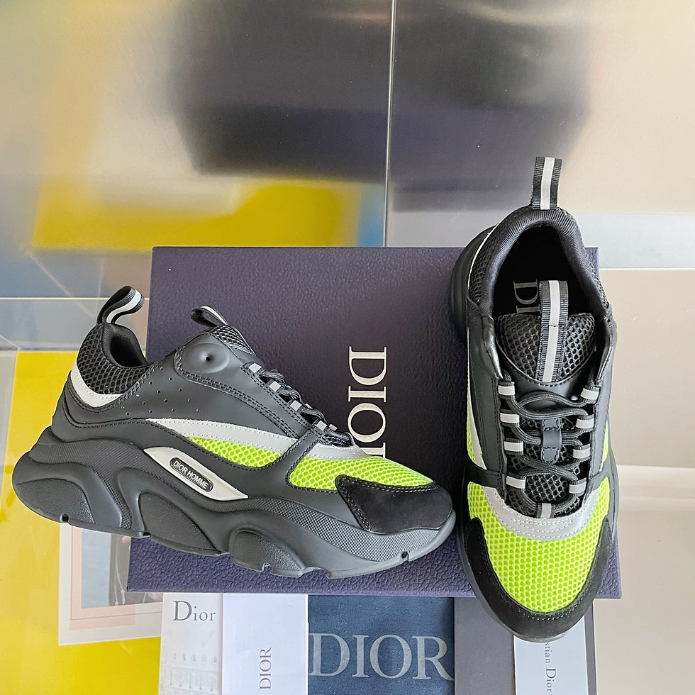 Miniatura: Dior B22
