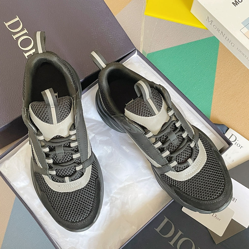 Miniatura: Dior B22