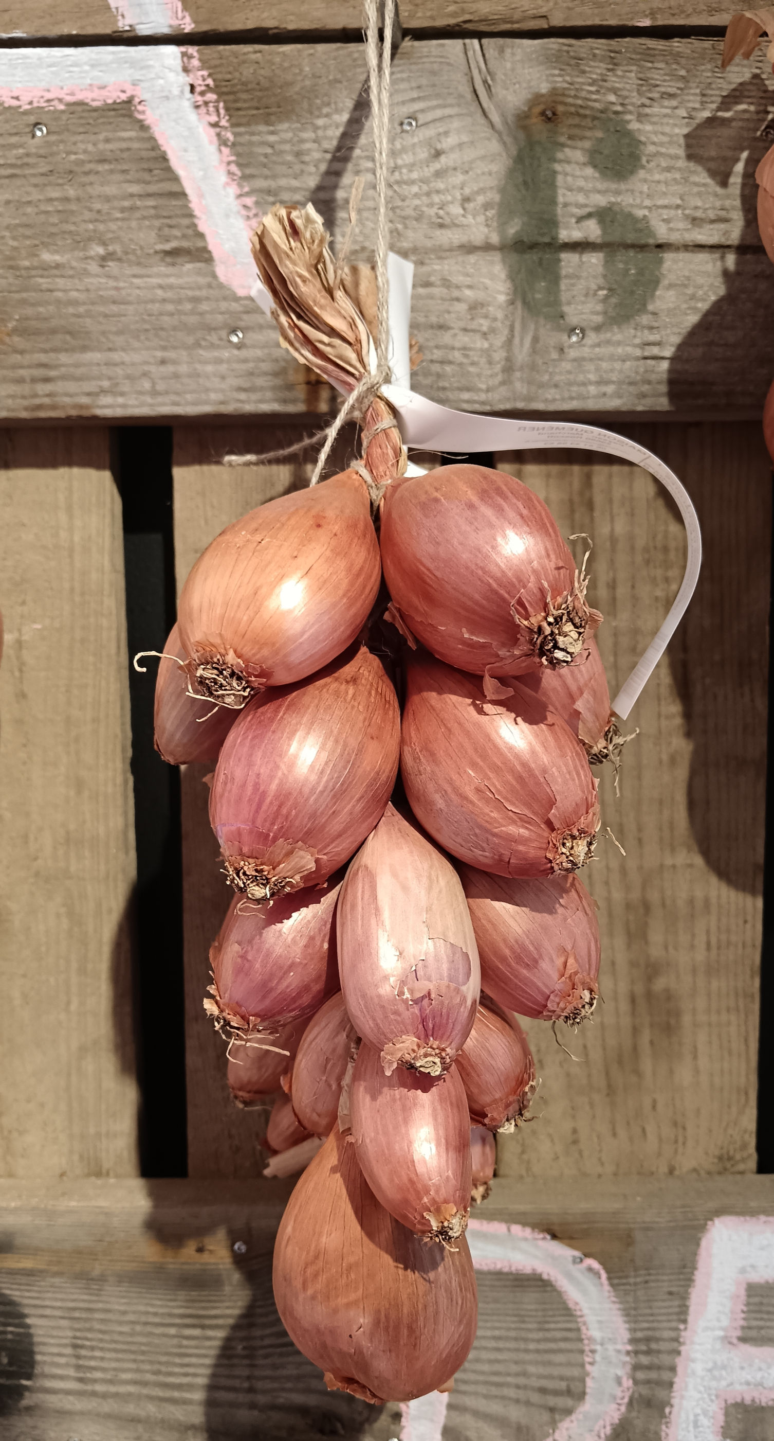 Tresse d'échalote 500 grs