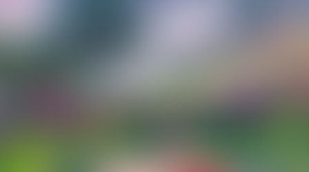 4 địa điểm chụp hình cưới ở Lâm Đồng 2019