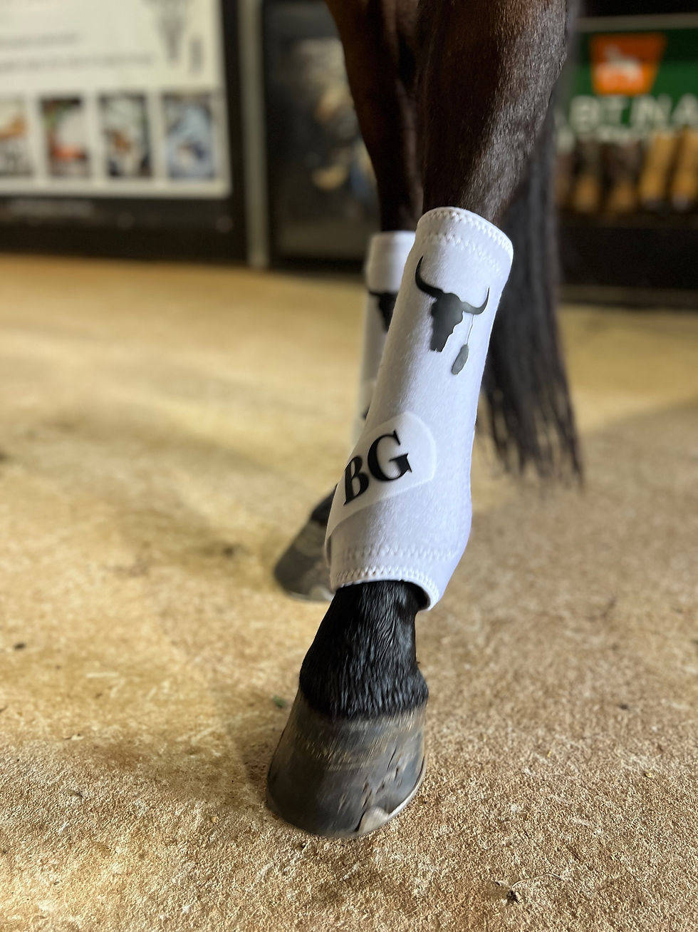 Thumbnail: Back Tendon Boots 