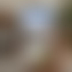 You Don't Need to Be in Florida (USA) to Build in Florida! Get TOTAL Access and Security!