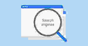 What is search engine ranking