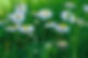 DSCF0073_edited.jpg