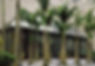 Shopping_P_Higienopolis