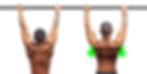 Man performing pull-ups on a bar; two images showing muscle engagement, with green arrows indicating back muscles, against white background.
