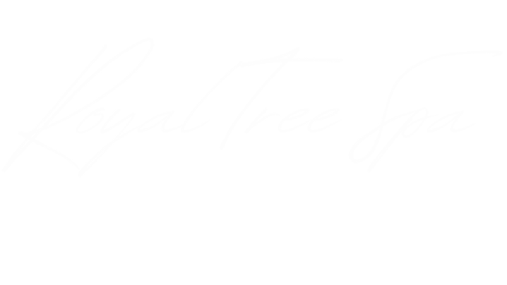 RT Website Design (Website).png