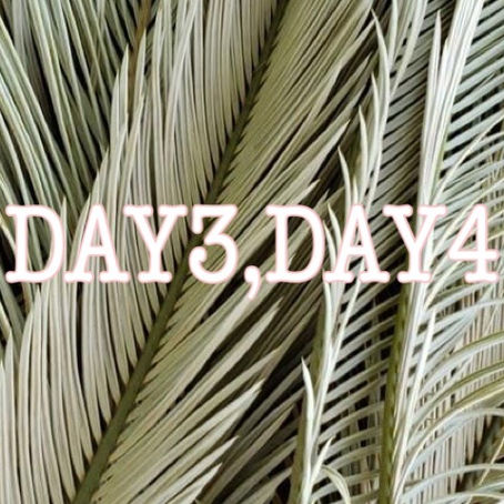 Ayurveda in Sri Lanka DAY3,4