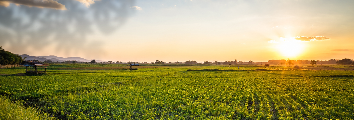 Hero Section ASK Organix (1).png