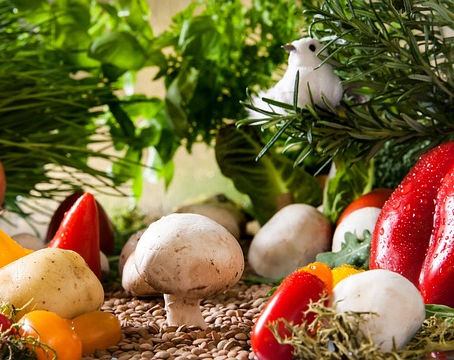 Gesunde Ernährung bei Lipödem: Was Sie wissen müssen