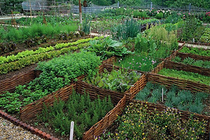 Potager garden.jpeg
