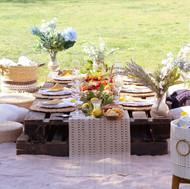 Los Angeles-Luxury Picnic-Nossa Events-2022-02-08 at 92053 PM 9-min.jpeg