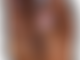 Papillons & Irish Setters