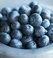 Blueberry Commodity Promotion Councils