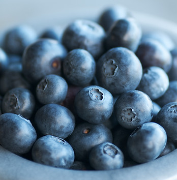 Bowl of Berries