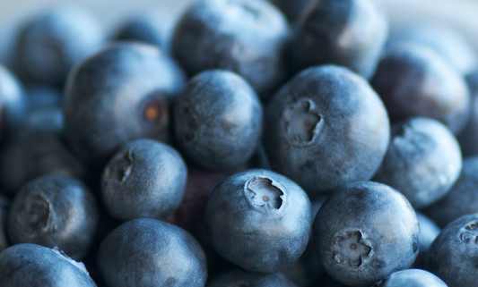 Bowl of Berries