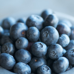 Bowl of Berries